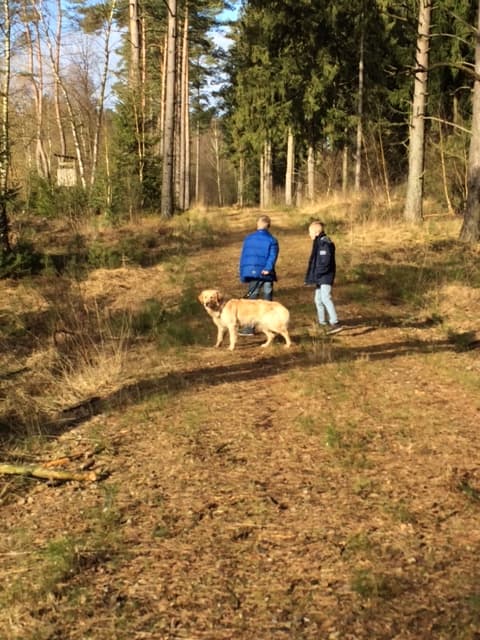 Grünkohlwanderung 2015 des SV Steinhorst