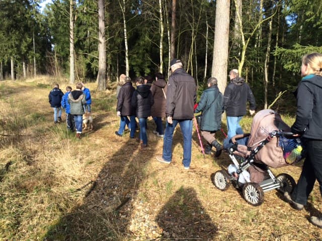 Grünkohlwanderung 2015 des SV Steinhorst